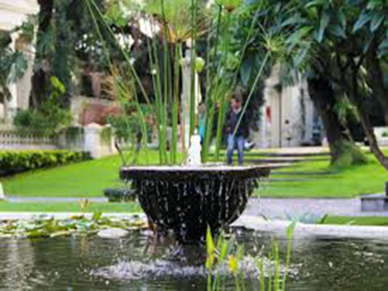 The Cherry Garden image