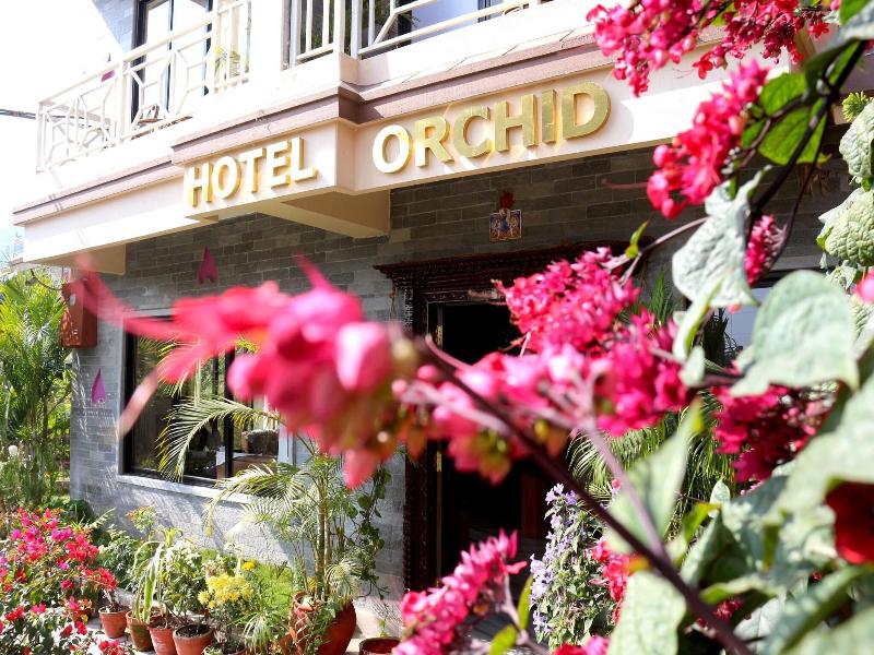 ORCHID image