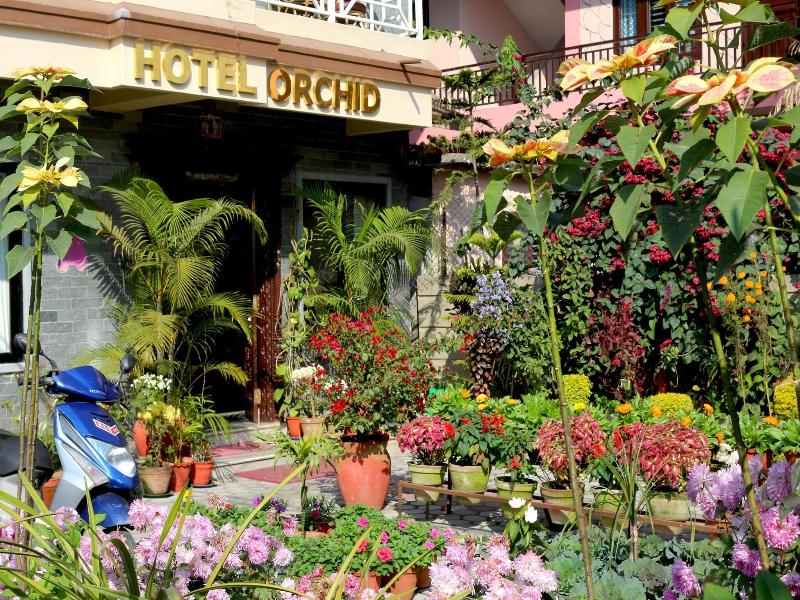 ORCHID image