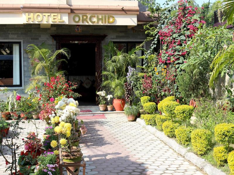 ORCHID image