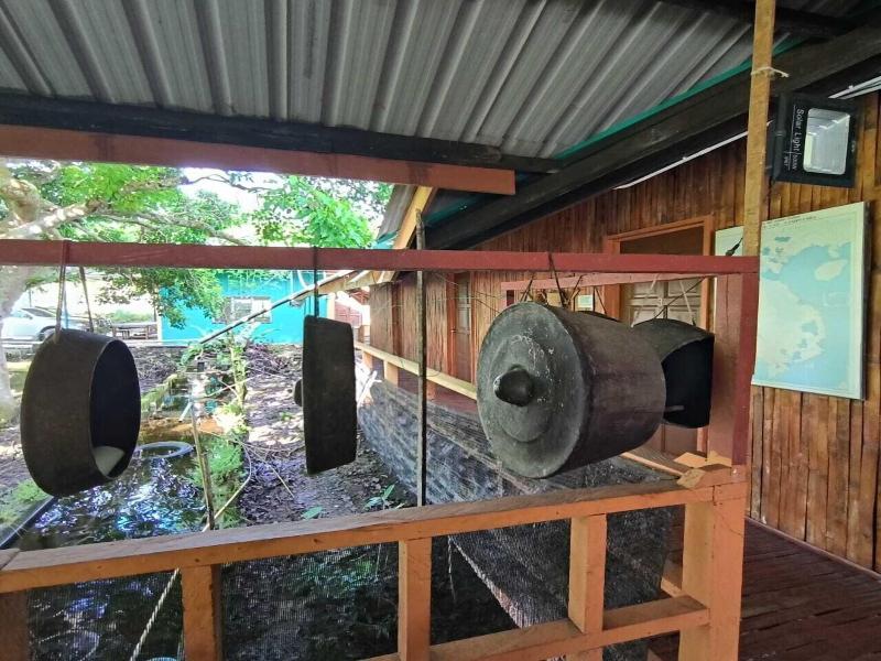 Kinabalu Poring Vacation Lodge image