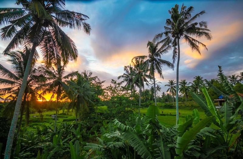 Kencana House Ubud