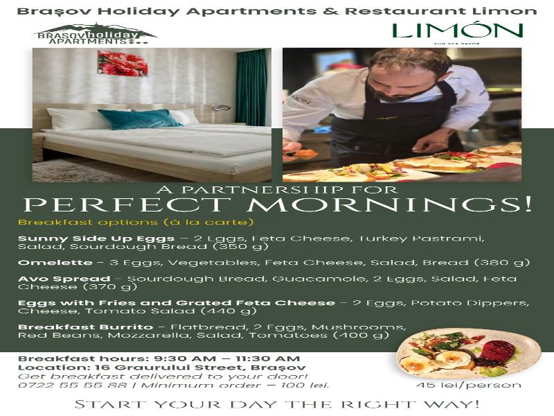 Brasov Holiday Apartments image