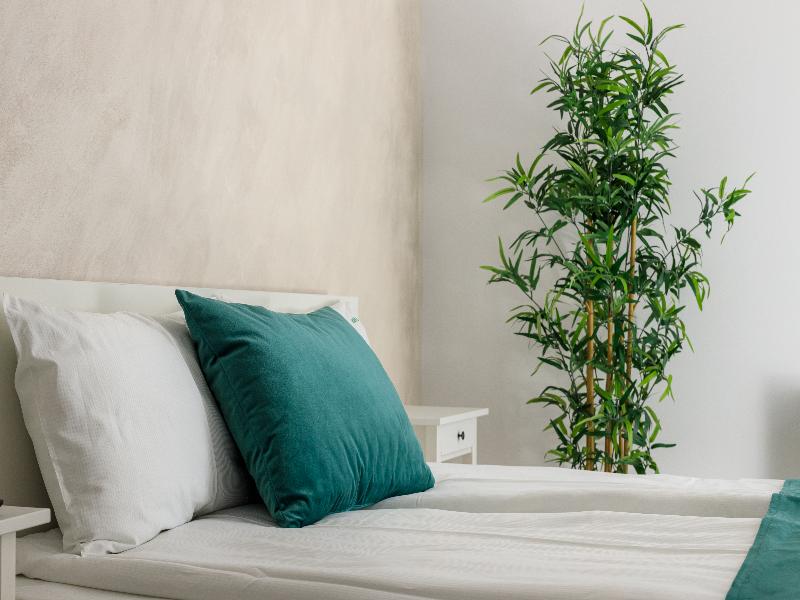 Brasov Holiday Apartments image