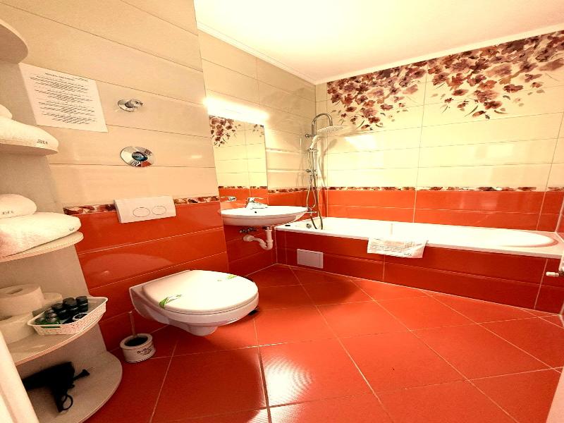 Brasov Holiday Apartments image