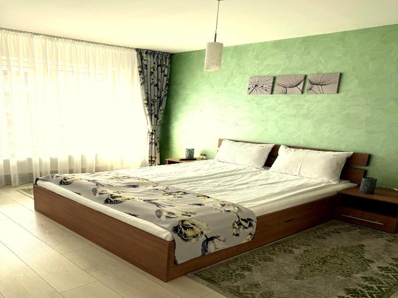 Brasov Holiday Apartments image