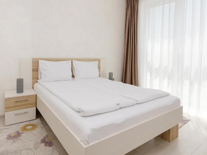 Brasov Holiday Apartments image