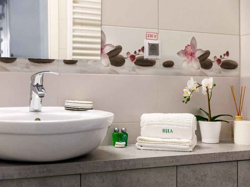 Brasov Holiday Apartments image