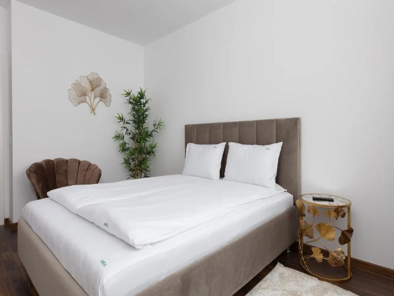 Brasov Holiday Apartments image