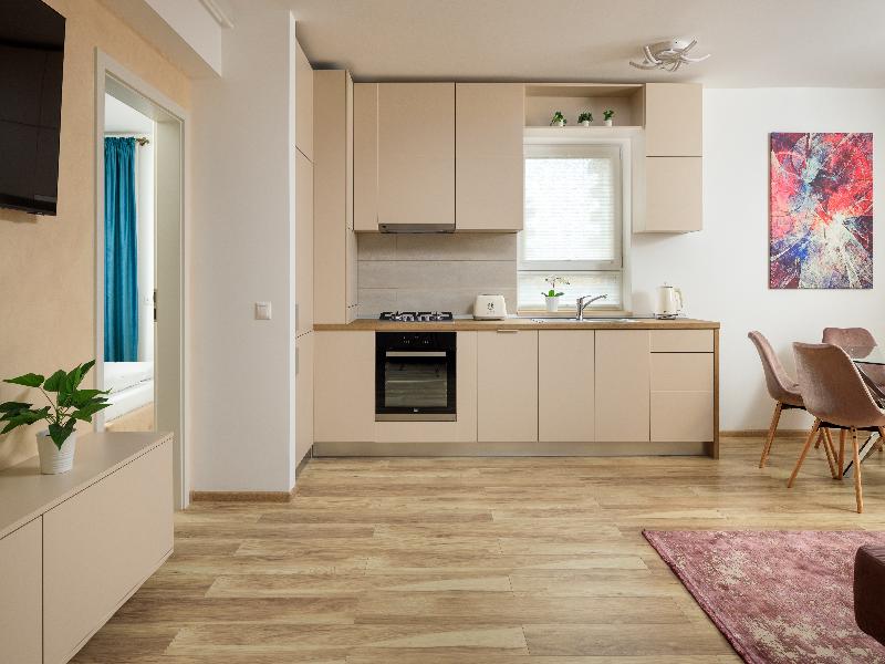 Brasov Holiday Apartments image