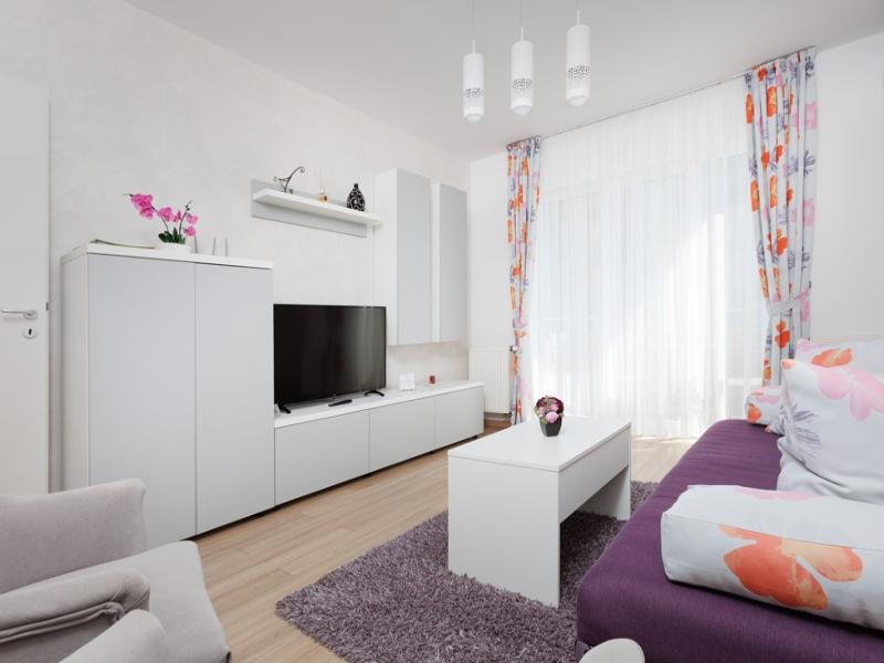 Brasov Holiday Apartments image