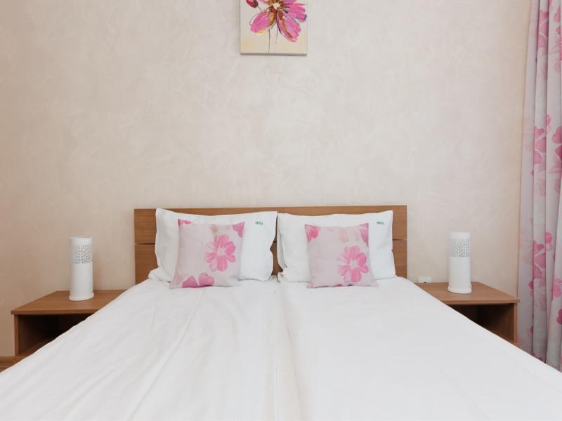 Brasov Holiday Apartments image