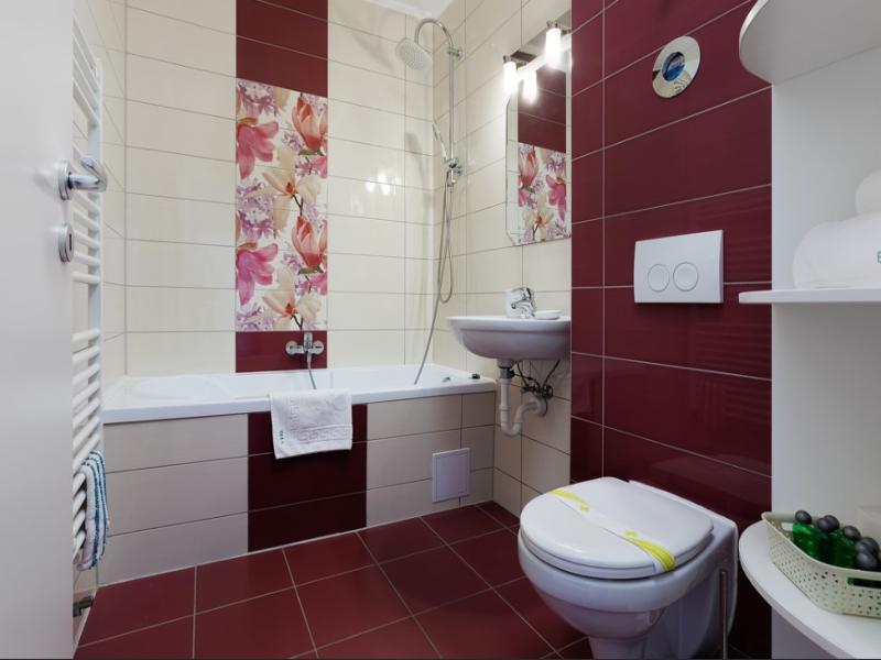 Brasov Holiday Apartments image