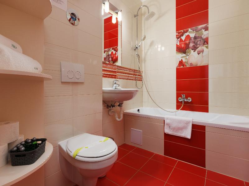 Brasov Holiday Apartments image