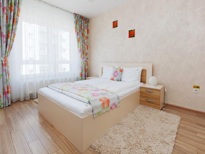 Brasov Holiday Apartments image