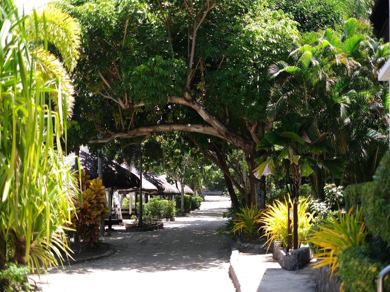 Palm Beach Resort image