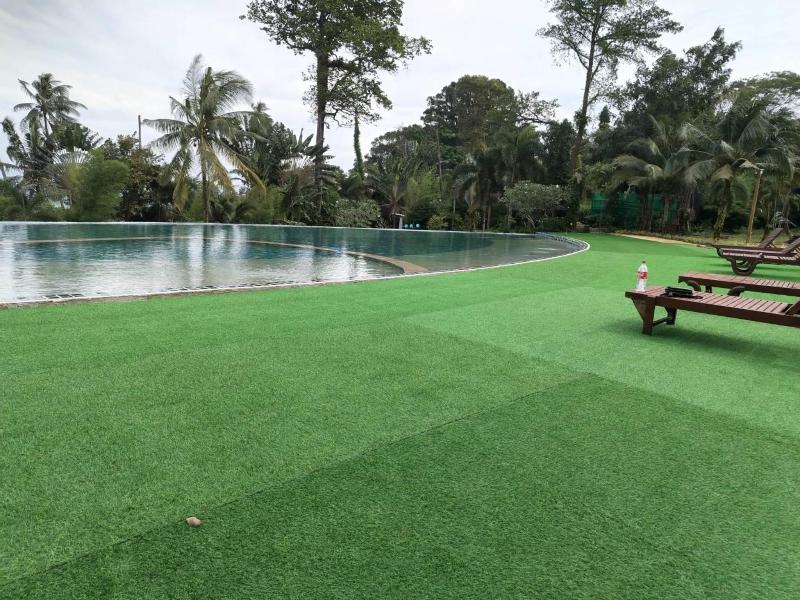 The Cinnamon Art Resort And Spa image