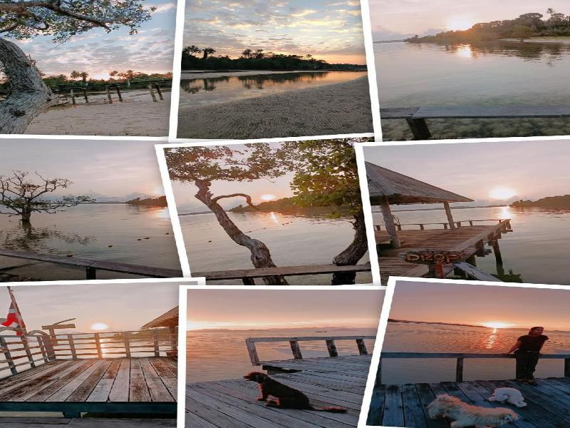 The Cinnamon Art Resort And Spa image