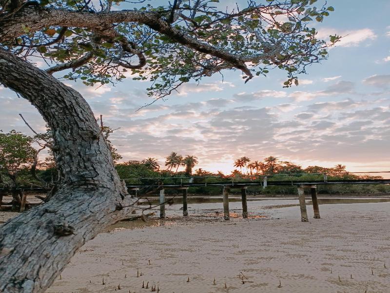 The Cinnamon Art Resort And Spa image