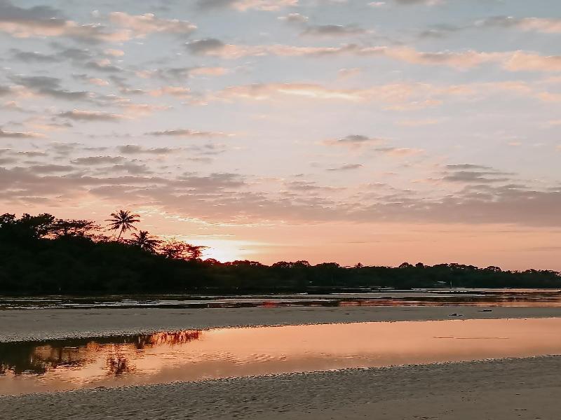 The Cinnamon Art Resort And Spa image
