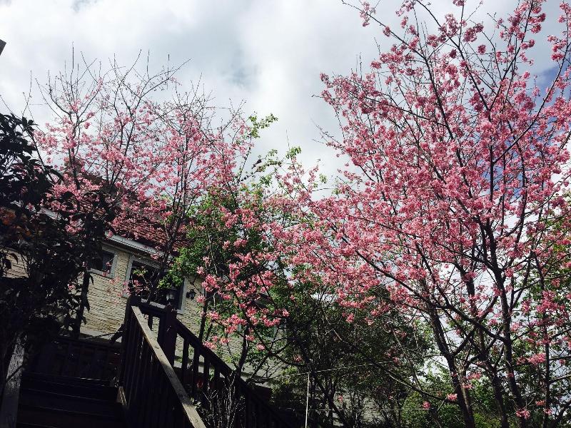 Spring Ground B B