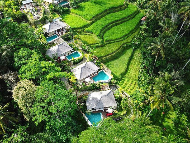 Nau Villa Ubud image