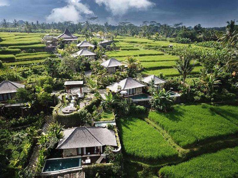 Nau Villa Ubud image