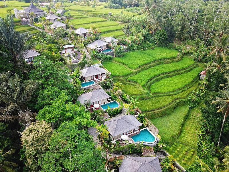 Nau Villa Ubud image