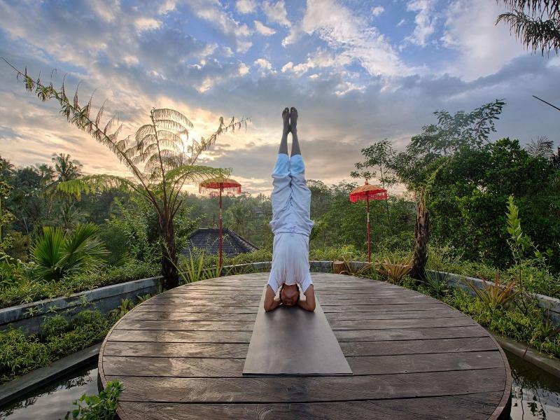 Nau Villa Ubud image