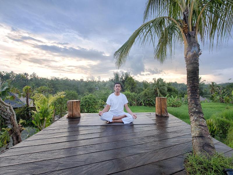 Nau Villa Ubud image