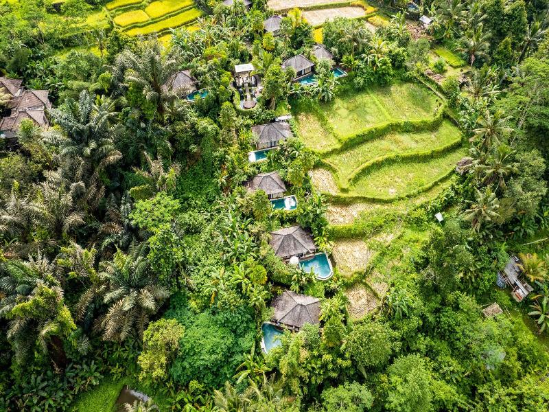 Nau Villa Ubud image
