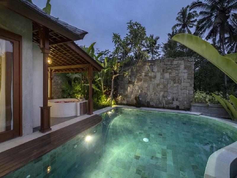 Nau Villa Ubud image