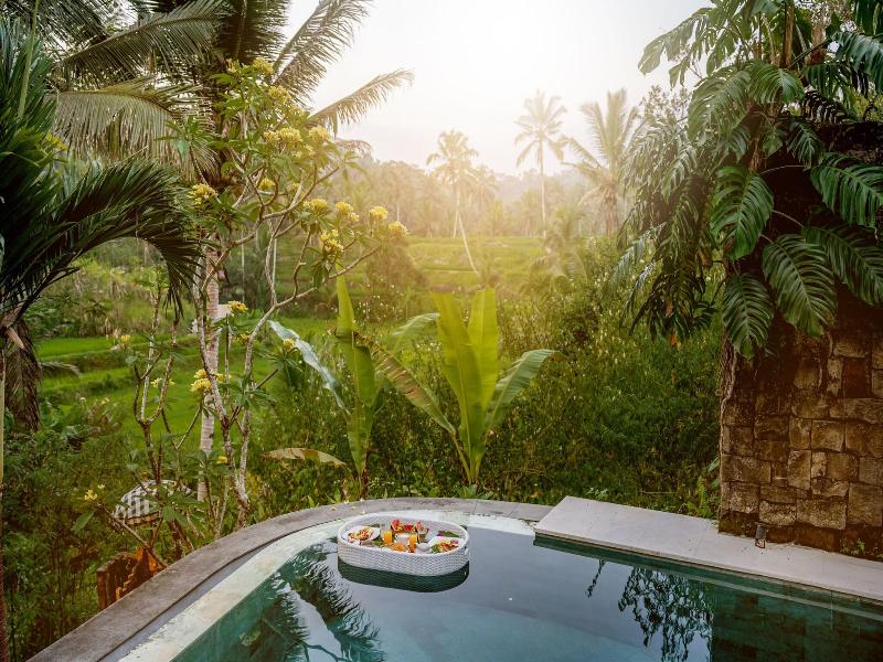 Nau Villa Ubud image