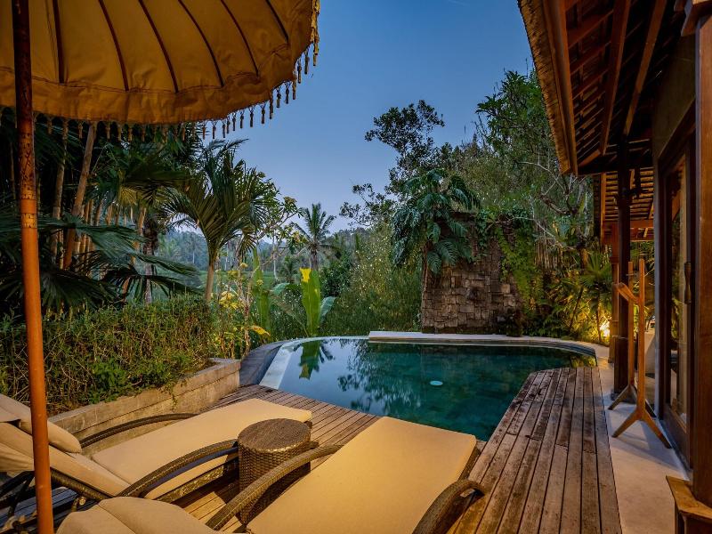 Nau Villa Ubud image