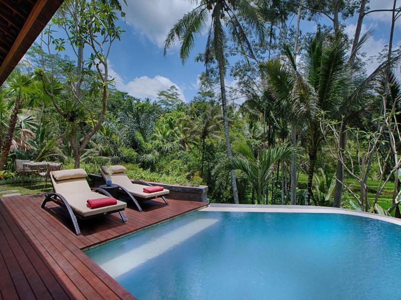 Nau Villa Ubud image
