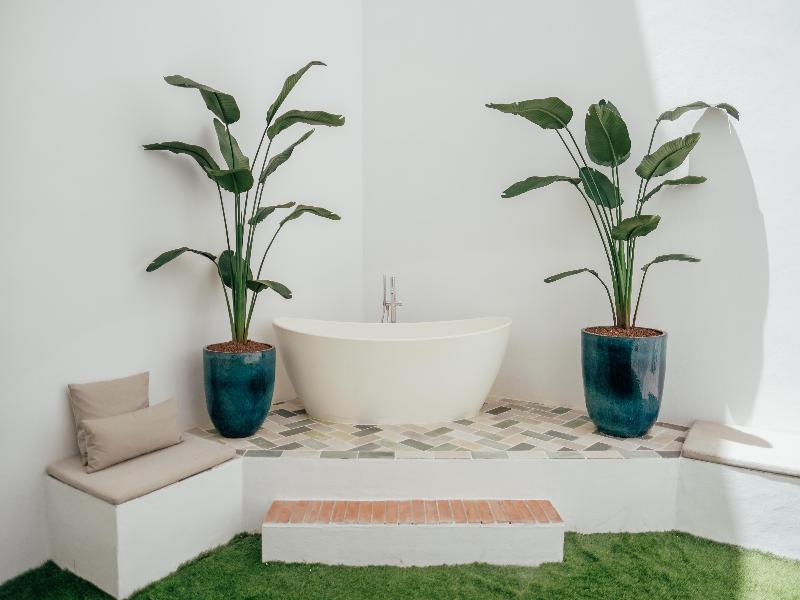 Cetina Sevilla image