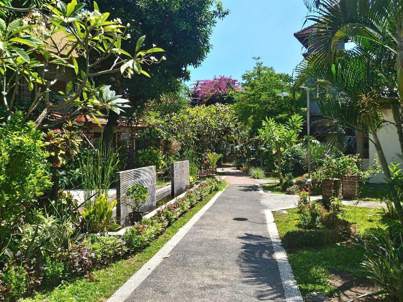 Lovina Beach Hotel image