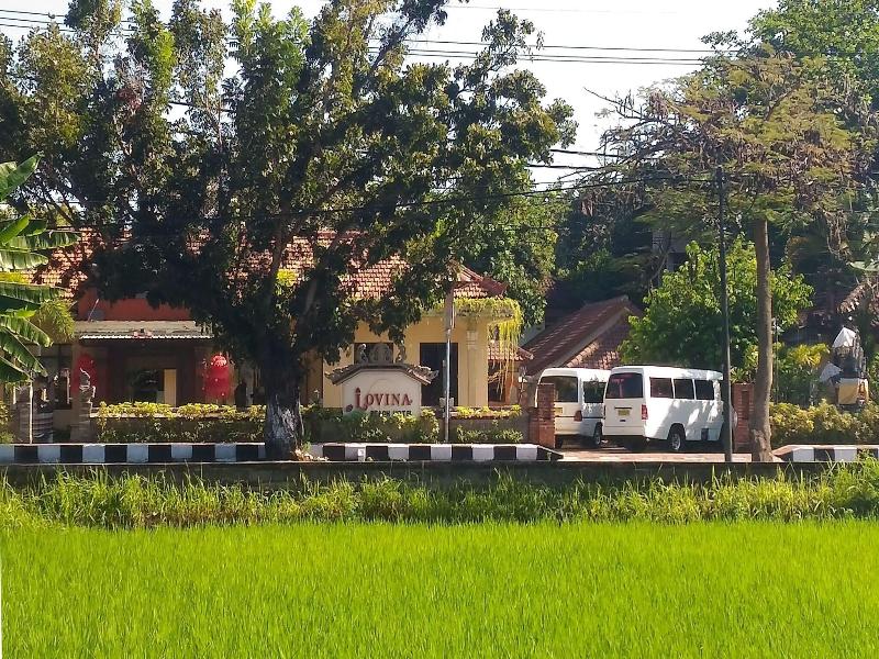 Lovina Beach Hotel image