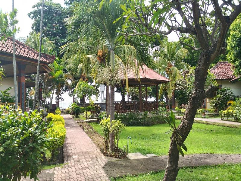 Lovina Beach Hotel image