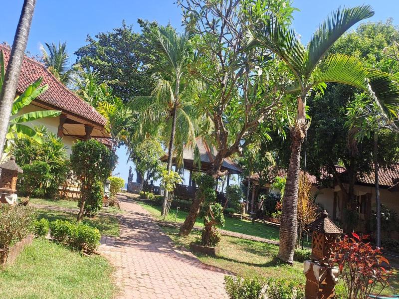 Lovina Beach Hotel image
