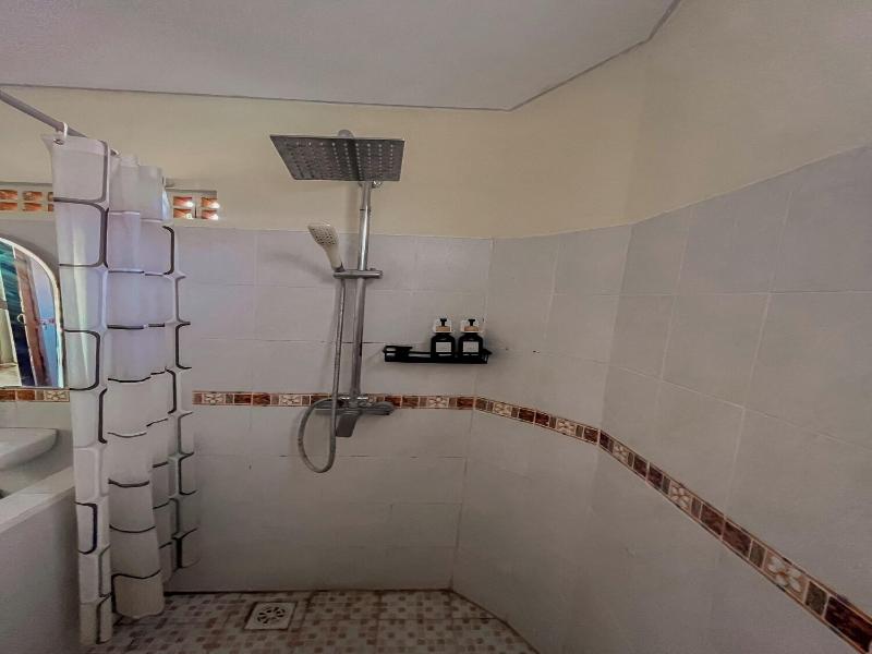 Lovina Beach Hotel image