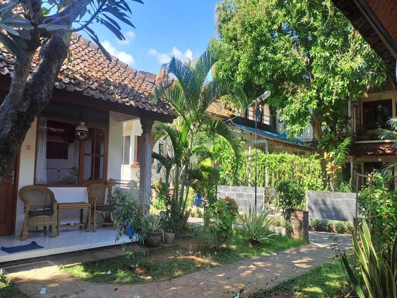 Lovina Beach Hotel image