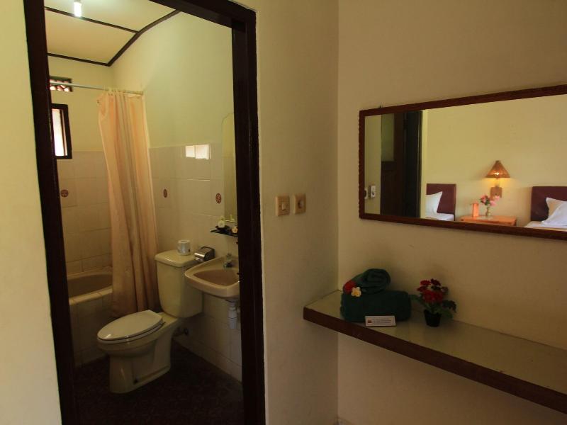 Lovina Beach Hotel image