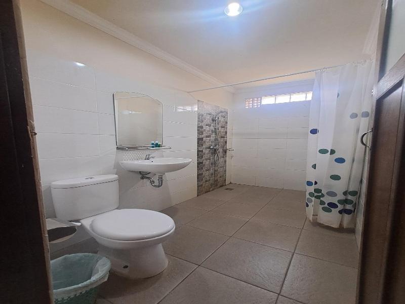 Lovina Beach Hotel image