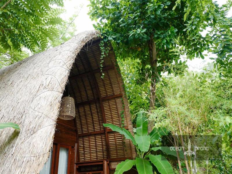 Ocean Prana Freediving Yoga School Bali image