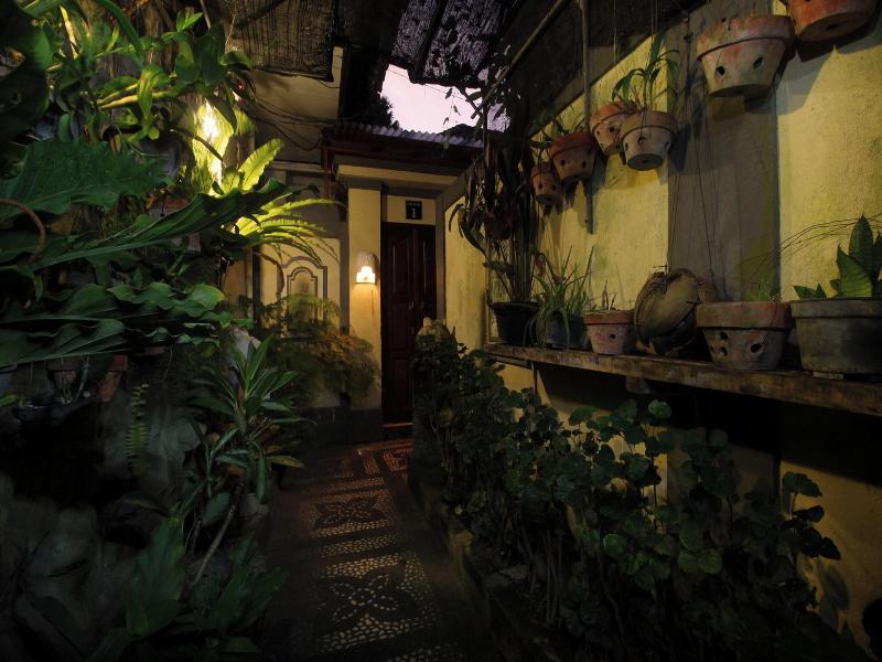 Jati Sanur image