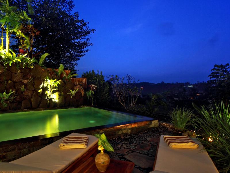 Ubud ArtVilla — photo 4
