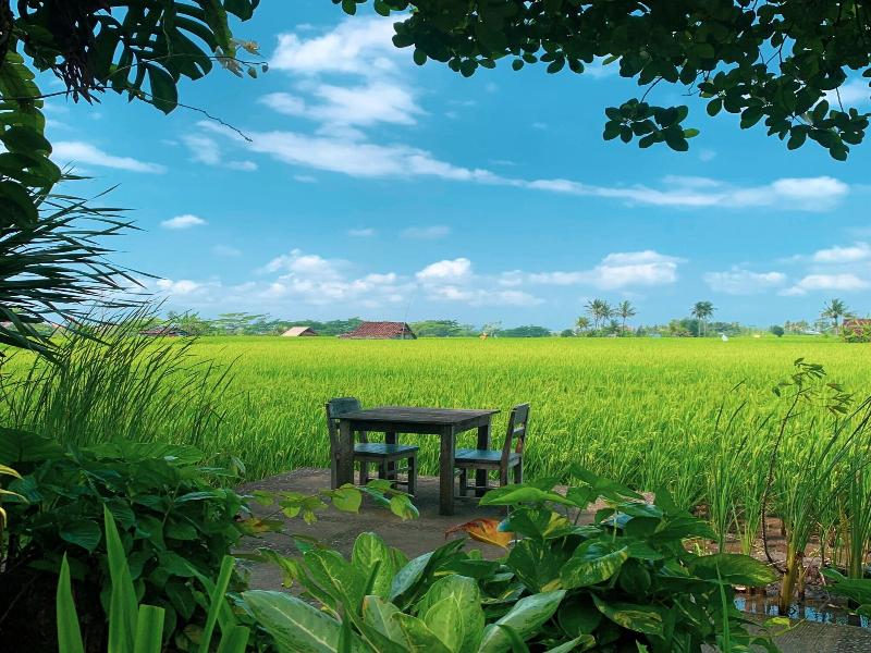 Umasari Rice Terrace Villa image