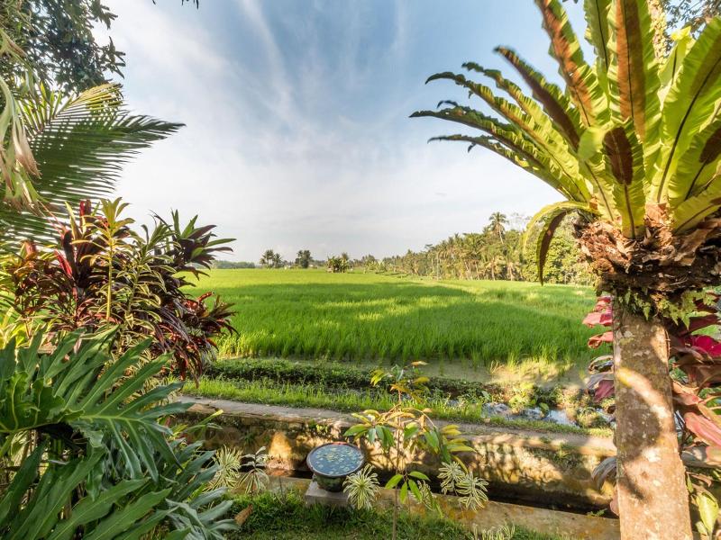 Umasari Rice Terrace Villa image