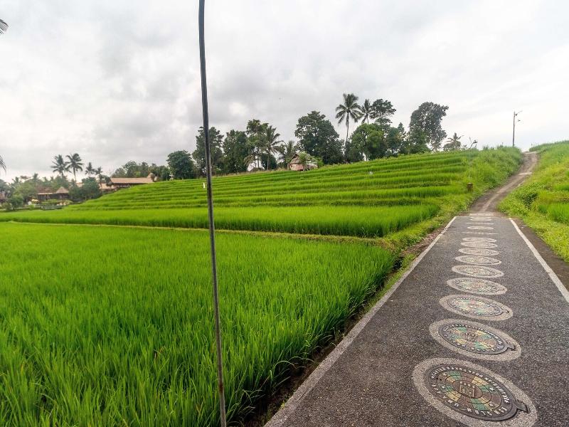 Umasari Rice Terrace Villa image